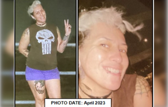 Desperate Search for Missing Santa Clarita Mother Monique Alamillo in Los Angeles County