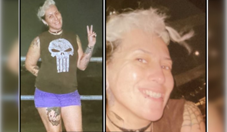 Desperate Search for Missing Santa Clarita Mother Monique Alamillo in Los Angeles County