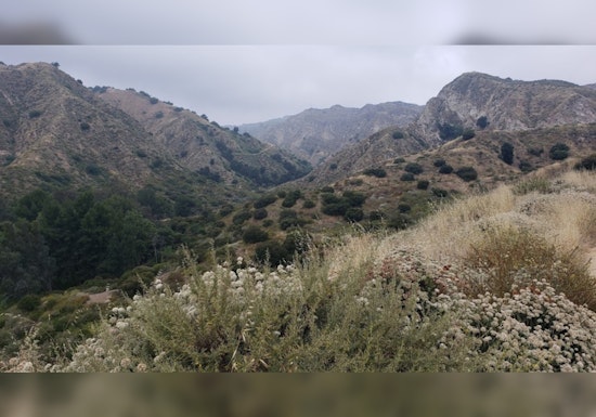 Dramatic Hiker Rescue Highlights Challenges in LA's Rugged Terrain