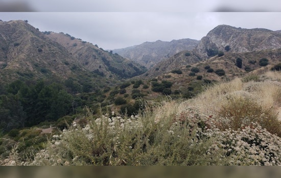 Dramatic Hiker Rescue Highlights Challenges in LA's Rugged Terrain