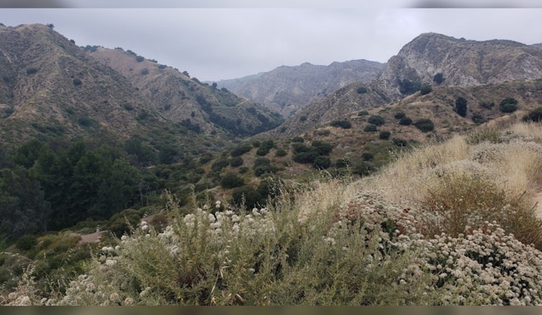 Dramatic Hiker Rescue Highlights Challenges in LA's Rugged Terrain