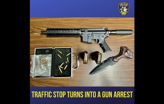 Erratic Driver Busted by Vallejo Cops, Arsenal of Illegal Weapons Found