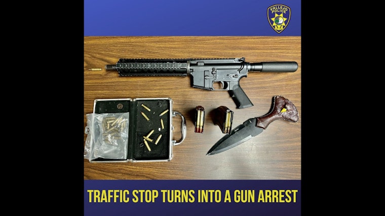 Erratic Driver Busted by Vallejo Cops, Arsenal of Illegal Weapons Found