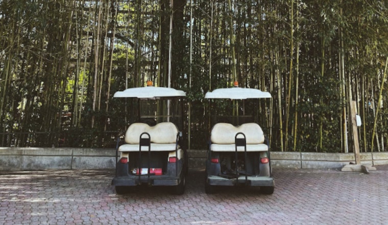 Erratic Shirtless Man Leads Los Angeles PD on Bizarre Golf Cart Chase With Canine Accomplice