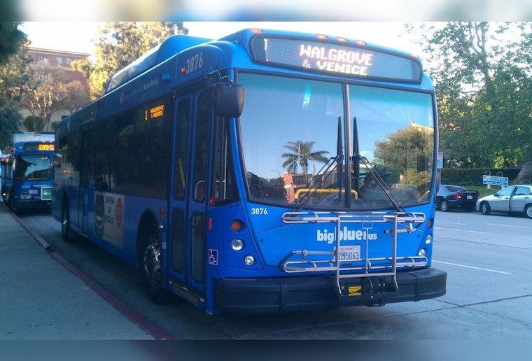 Santa Monica's Big Blue Bus, Stephanie Negriff, Passes Away at Age 67: Her Legacy Lives On