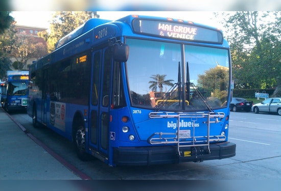 Santa Monica's Big Blue Bus, Stephanie Negriff, Passes Away at Age 67: Her Legacy Lives On