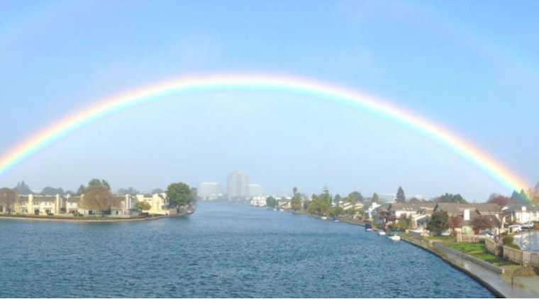 Foster City Lagoon Battles Persistent Problem on Algae Invasion