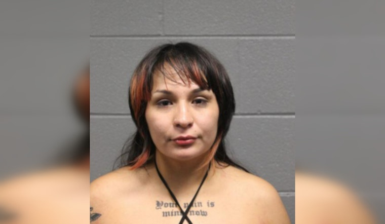 Four Chicago Police Officers Battered: 24-Year-Old Faces Felony Charges