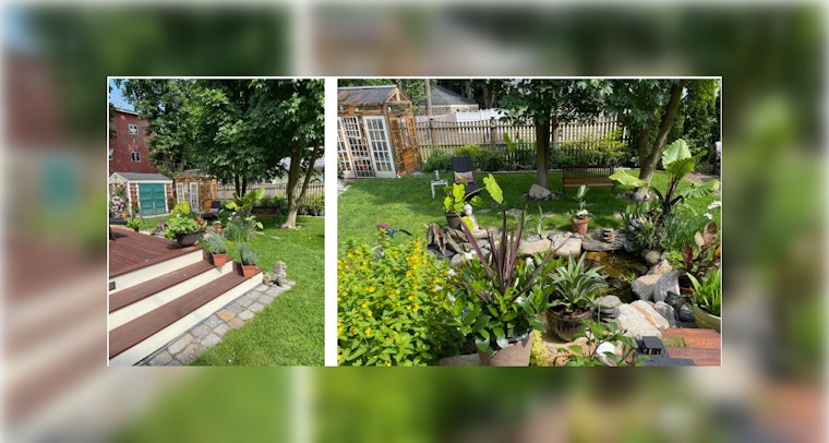 Green-thumbed Bostonians Celebrate Victory in Mayor's 2023 Garden Contest