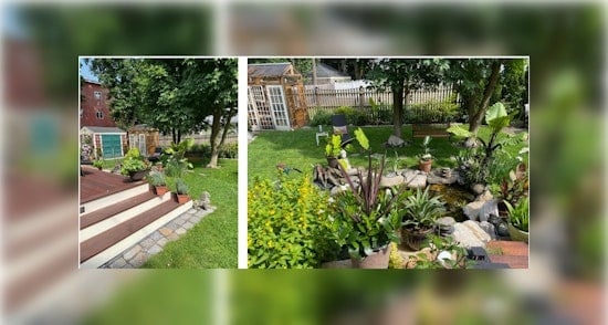Green-thumbed Bostonians Celebrate Victory in Mayor's 2023 Garden Contest