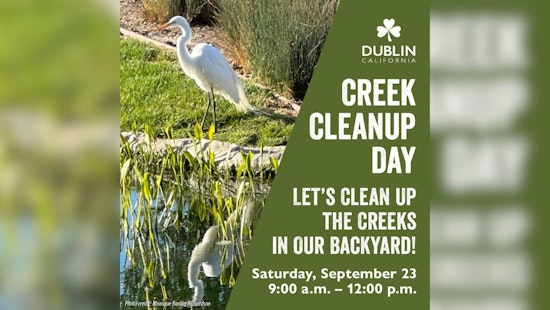 Join Forces to Preserve Dublin's Natural Beauty on Creek Cleanup Day