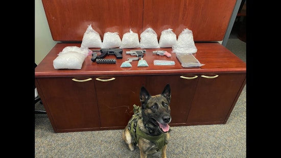 K9 Unit Exposes Enough Fentanyl to Kill 500k People During Random Traffic Stop in Sonoma