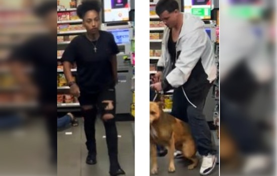 Heartless Thieves Steal Dog By Force in Los Angeles Robbery