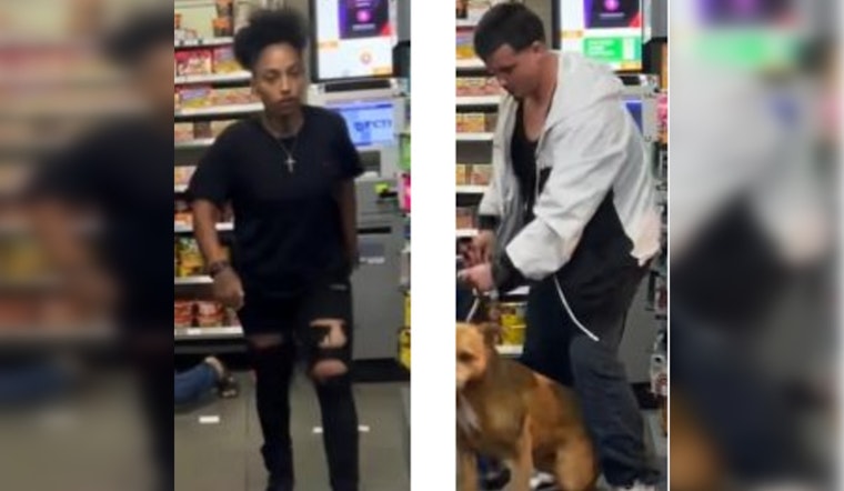 Heartless Thieves Steal Dog By Force in Los Angeles Robbery