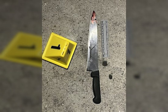 Man Brandishing Knife Killed in Officer-Involved Shooting in Los Angeles