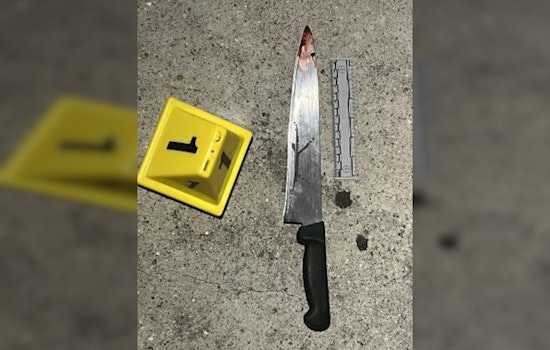 Man Brandishing Knife Killed in Officer-Involved Shooting in Los Angeles
