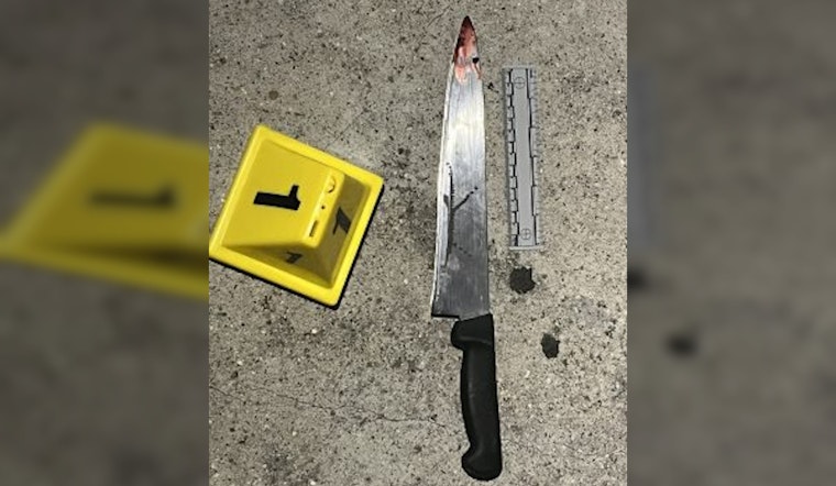 Man Brandishing Knife Killed in Officer-Involved Shooting in Los Angeles