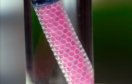 Northwestern University Scores $45M for "THOR" Cancer-Fighting Device