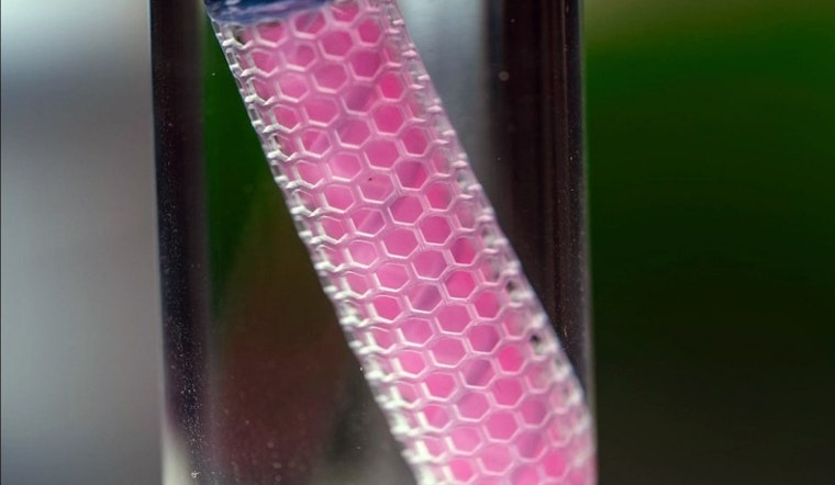 Northwestern University Scores $45M for "THOR" Cancer-Fighting Device