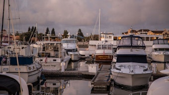 Oakland Estuary Plagued by Theft, Homelessness Crisis Implicated