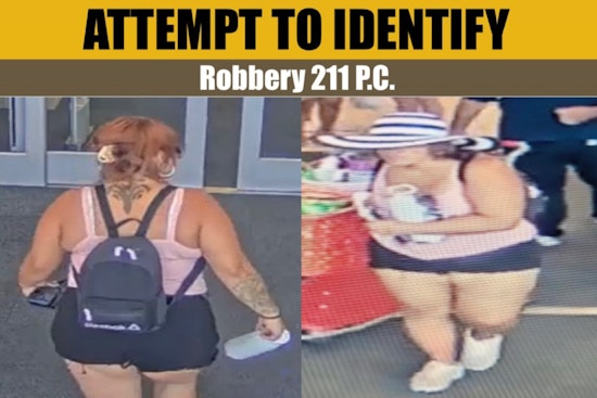 Palmdale Detectives Seek Help in Identifying Target Shoplifter