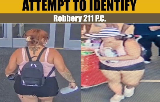 Palmdale Detectives Seek Help in Identifying Target Shoplifter