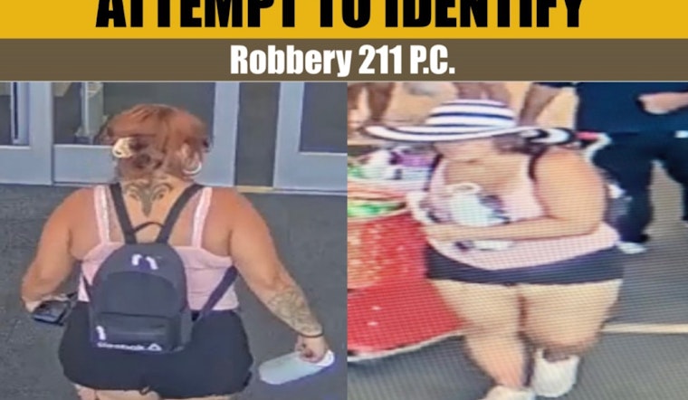 Palmdale Detectives Seek Help in Identifying Target Shoplifter