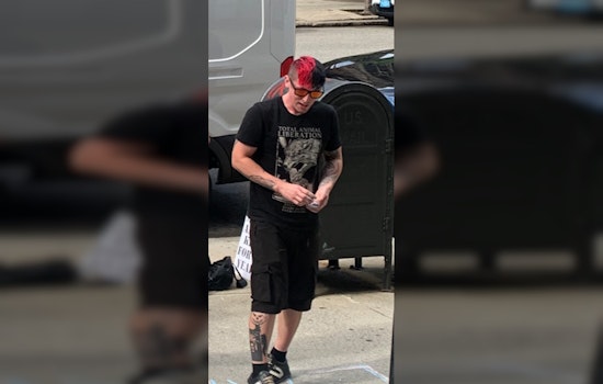Police Hunt for Unidentified Individual Harassing People & Businesses in Back Bay and Downtown Boston