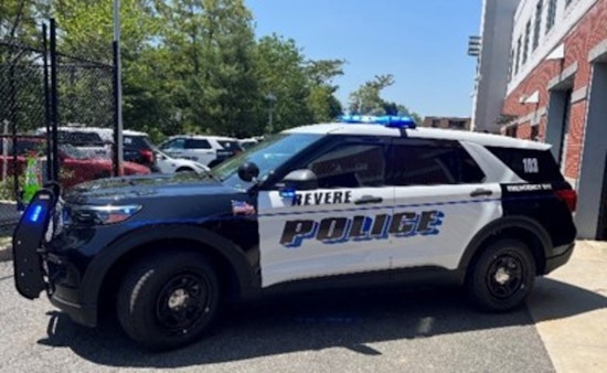 Man Stabbed Dog to Death and Assaulted Roommate Near Boston