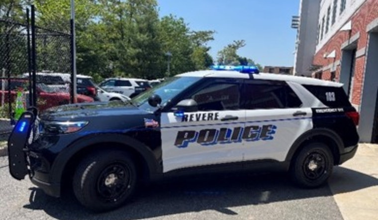 Man Stabbed Dog to Death and Assaulted Roommate Near Boston