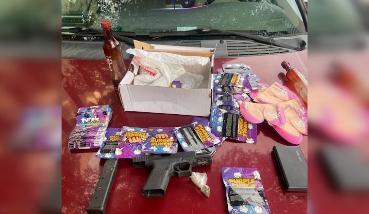 Routine Traffic Stop in Chicago Unearths Ghost Guns and Suspended Registration Leading to Felony Charges