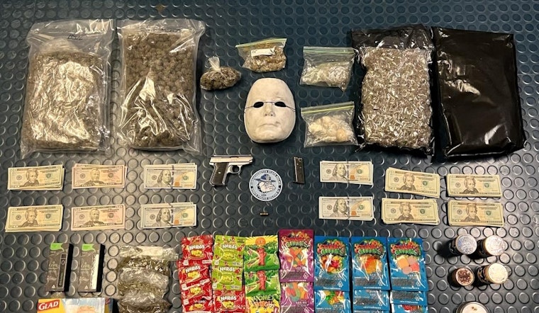 Roxbury Man Stuffs Baby Car Seat with Loaded Gun, Drugs, Michael Myers Mask in Mattapan, Say Mass. State Police