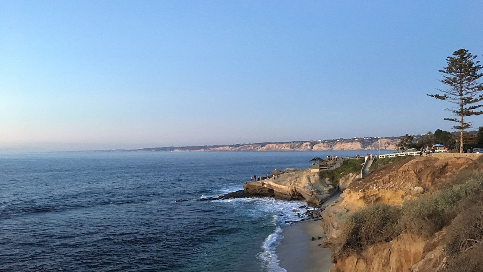 City Council Approves Seasonal Closure of Point La Jolla for Sea Lions –  NBC 7 San Diego