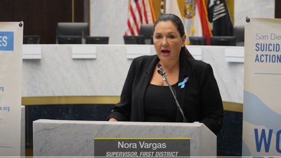 San Diego Sees Troubling Rise in Suicide Rates, Especially Among Vulnerable Populations