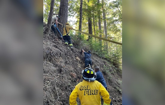 Horses Rescued from Precipice of 100-ft Abyss by San Mateo County Firefighters