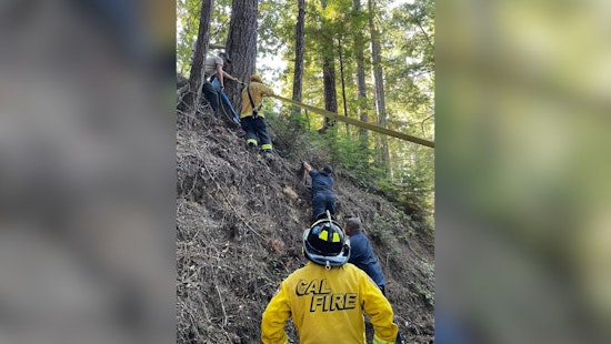 Horses Rescued from Precipice of 100-ft Abyss by San Mateo County Firefighters