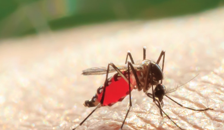 Santa Clarita Reports First Case of West Nile Virus, Los Angeles County Urges Preventive Measures