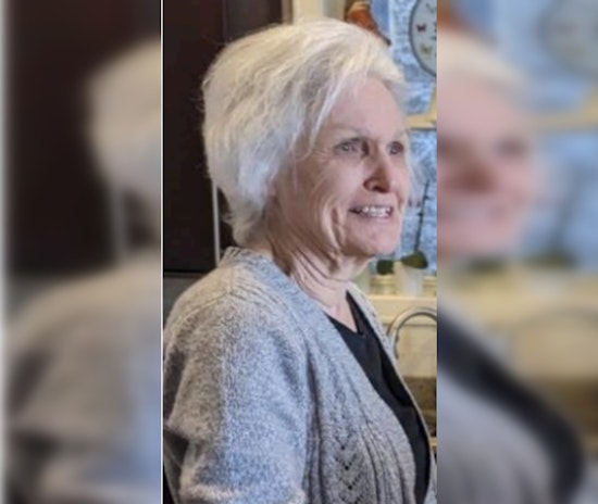 Search for Missing Elderly Chicago Woman Carmine Goddijn