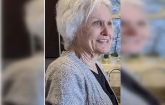 Search for Missing Elderly Chicago Woman Carmine Goddijn