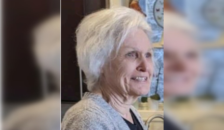 Search for Missing Elderly Chicago Woman Carmine Goddijn