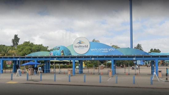 SeaWorld San Diego to Immerse Visitors in "Jewels of the Sea: The Jellyfish Experience"