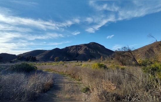 Skeletal Remains Unearthed in Thousand Oaks Park Sparks Investigation