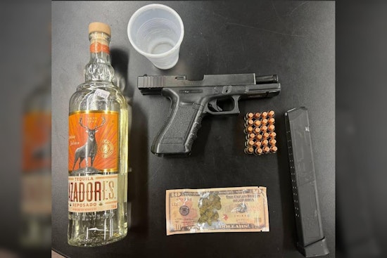 Stolen, Loaded Gun Discovered in Routine Chicago Stop by Cooks County Sheriff