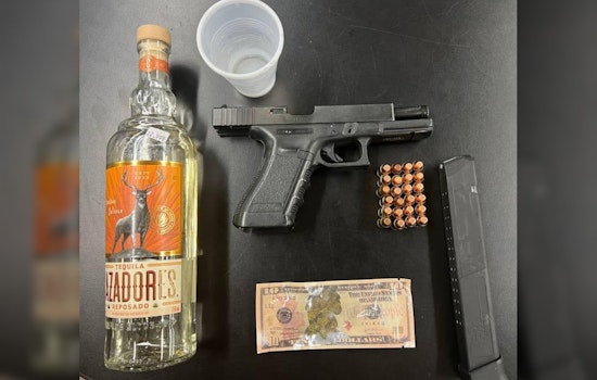Stolen, Loaded Gun Discovered in Routine Chicago Stop by Cooks County Sheriff