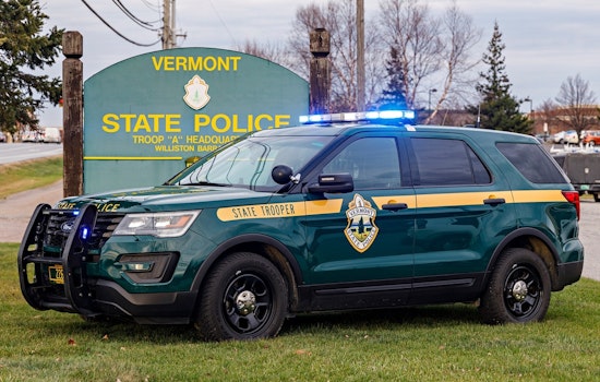 Thunderstorms Down Tree That Kills Palmer Man Camping in Vermont with Fiancée
