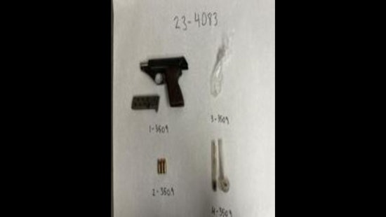 San Rafael Suspects of Organized Retail Theft and Illegal Firearm Possession Arrested in Petaluma