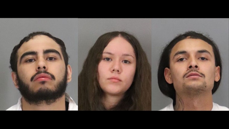 Three Arrested After Shocking Armed Robbery of French Bulldog in San Jose