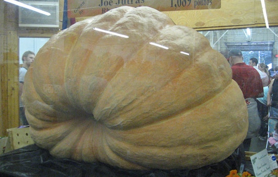 Massive Melons Steal the Show at America's Oldest Fair in Topsfield, Massachusetts