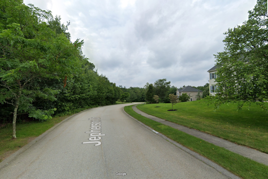 Tree Collapses onto Moving Car, Seriously Injuring Douglas Couple in Massachusetts