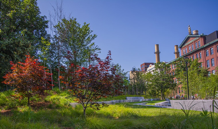 Cambridge Green Initiative Fosters Urban Oasis with Innovative